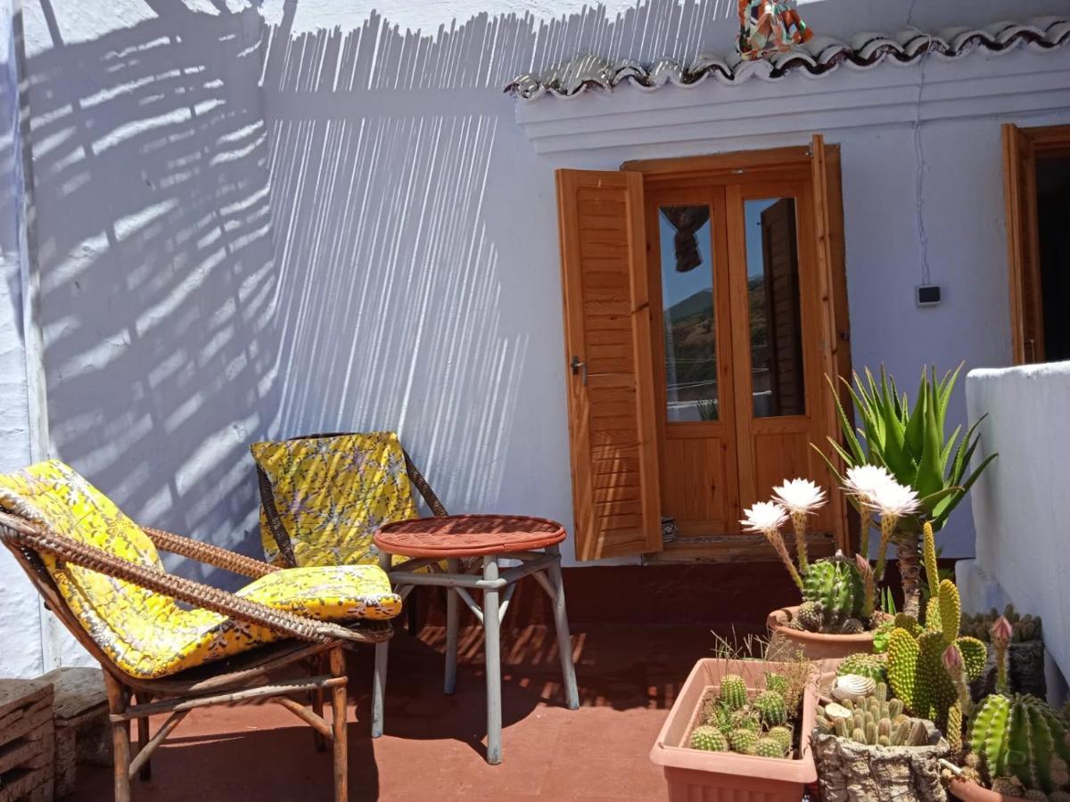 Vallparadis Pension Familiar" Firdaus" Chefchaouen Εξωτερικό φωτογραφία